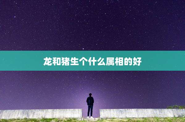龙和猪生个什么属相的好