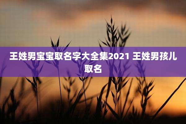 王姓男宝宝取名字大全集2021 王姓男孩儿取名