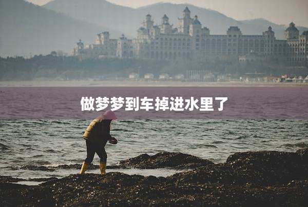 做梦梦到车掉进水里了