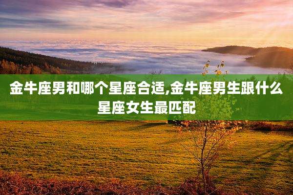 金牛座男和哪个星座合适,金牛座男生跟什么星座女生最匹配