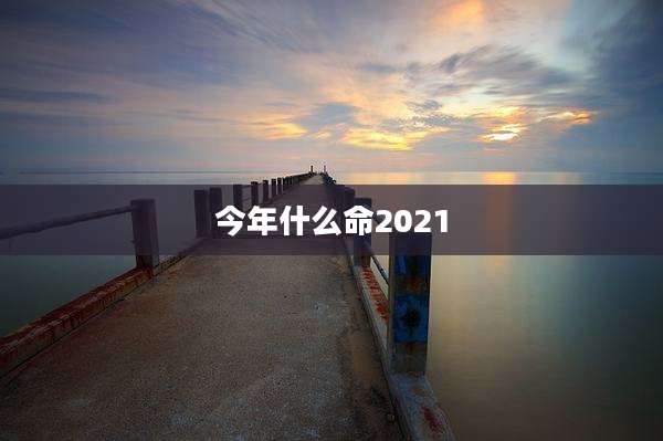 今年什么命2021