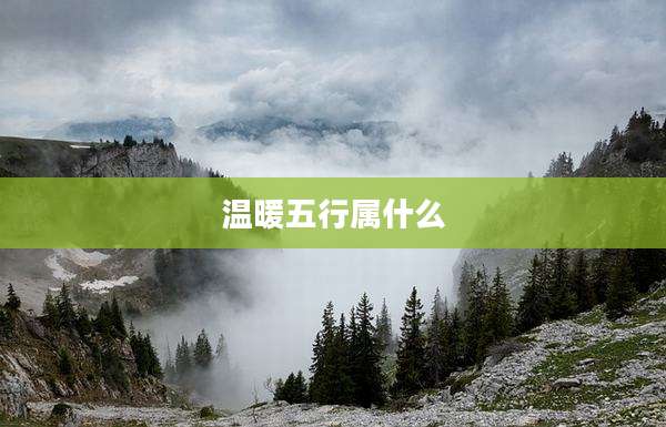 温暖五行属什么