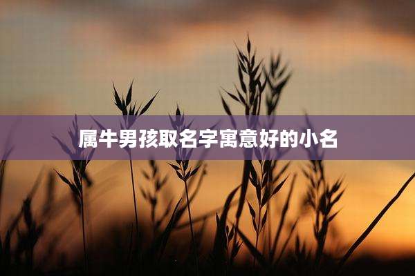 属牛男孩取名字寓意好的小名