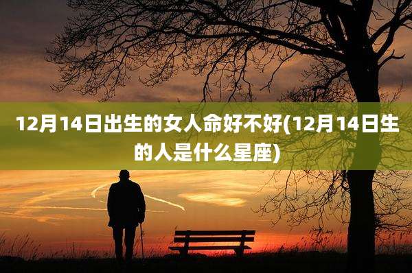 12月14日出生的女人命好不好(12月14日生的人是什么星座)