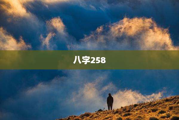 八字258