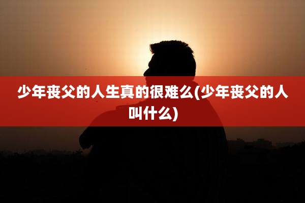 少年丧父的人生真的很难么(少年丧父的人叫什么)