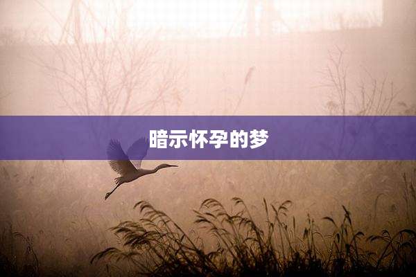 暗示怀孕的梦