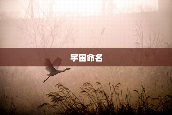 宇宙命名