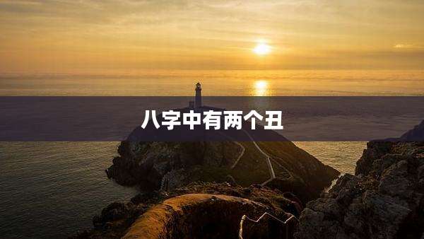 八字中有两个丑
