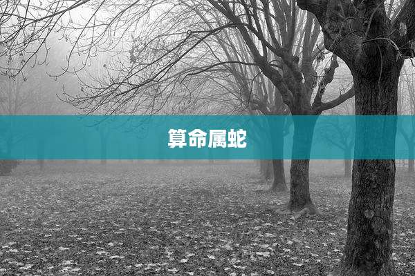 算命属蛇