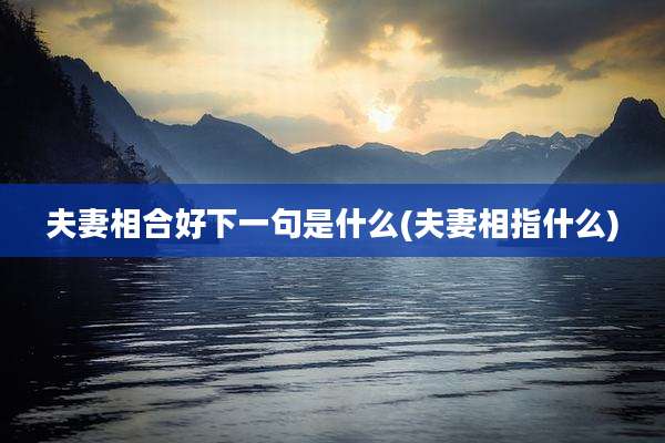 夫妻相合好下一句是什么(夫妻相指什么)