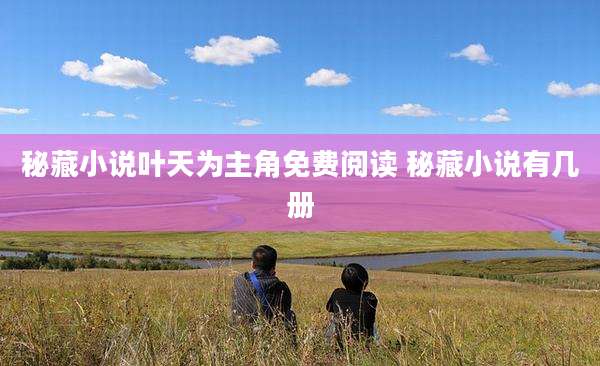 秘藏小说叶天为主角免费阅读 秘藏小说有几册
