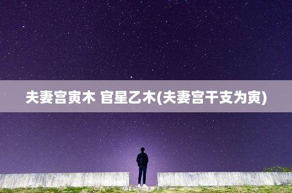 夫妻宫寅木 官星乙木(夫妻宫干支为寅)