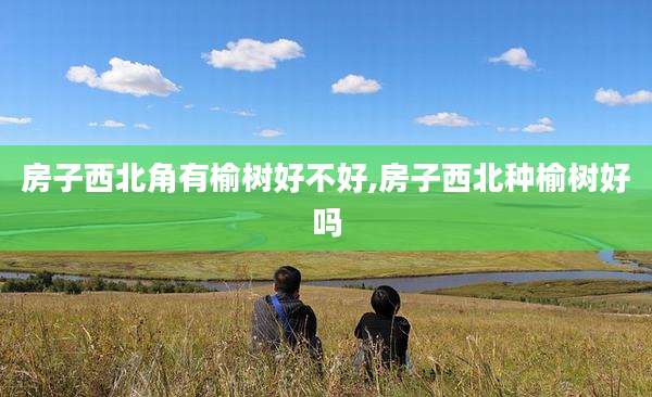 房子西北角有榆树好不好,房子西北种榆树好吗