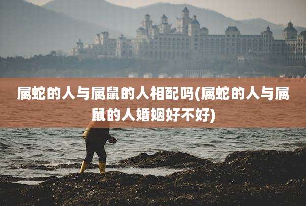 属蛇的人与属鼠的人相配吗(属蛇的人与属鼠的人婚姻好不好)