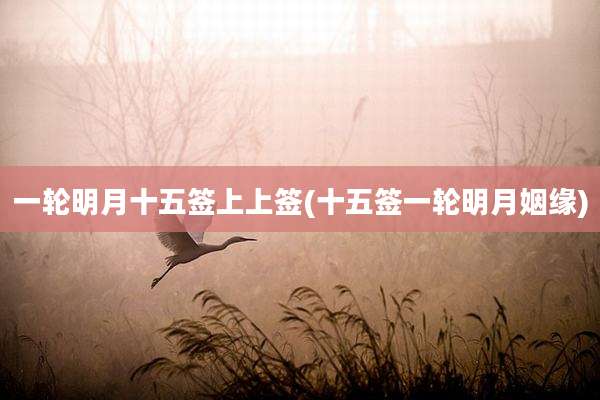 一轮明月十五签上上签(十五签一轮明月姻缘)