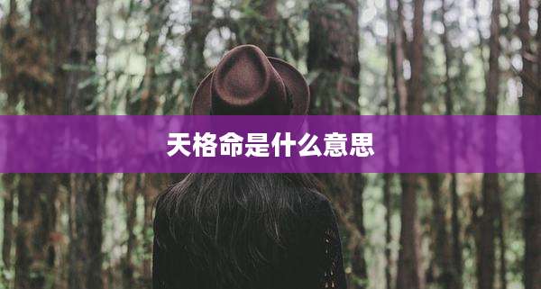 天格命是什么意思