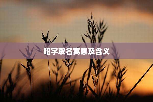 昭字取名寓意及含义