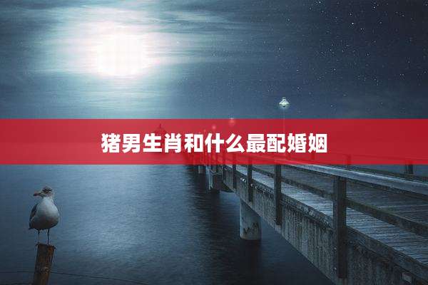 猪男生肖和什么最配婚姻
