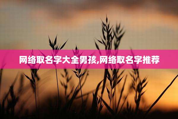 网络取名字大全男孩,网络取名字推荐