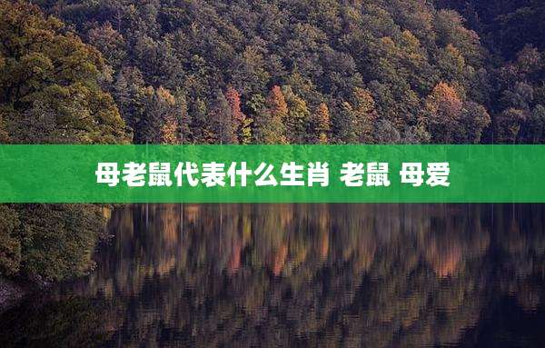 母老鼠代表什么生肖 老鼠 母爱