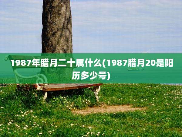 1987年腊月二十属什么(1987腊月20是阳历多少号)