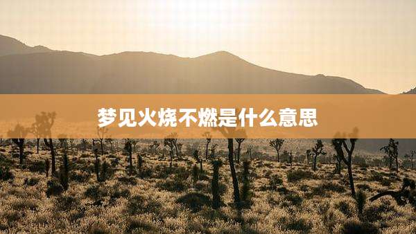梦见火烧不燃是什么意思