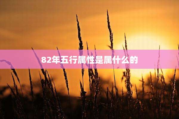 82年五行属性是属什么的