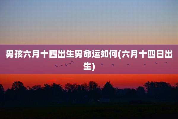 男孩六月十四出生男命运如何(六月十四日出生)