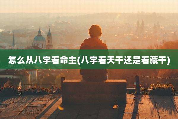 怎么从八字看命主(八字看天干还是看藏干)
