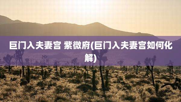 巨门入夫妻宫 紫微府(巨门入夫妻宫如何化解)