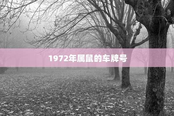1972年属鼠的车牌号