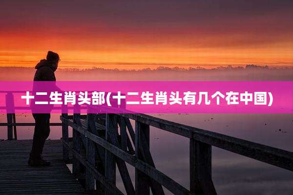 十二生肖头部(十二生肖头有几个在中国)