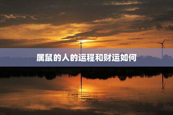 属鼠的人的运程和财运如何