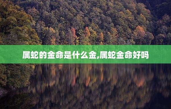 属蛇的金命是什么金,属蛇金命好吗