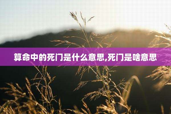 算命中的死门是什么意思,死门是啥意思