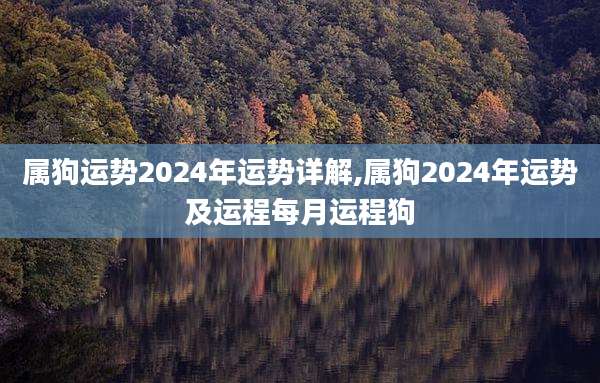 属狗运势2024年运势详解,属狗2024年运势及运程每月运程狗