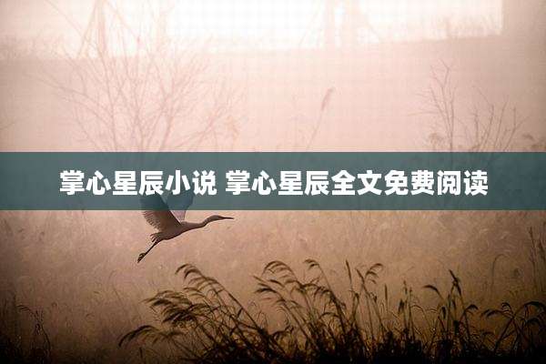 掌心星辰小说 掌心星辰全文免费阅读