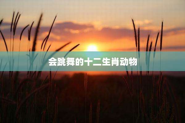 会跳舞的十二生肖动物