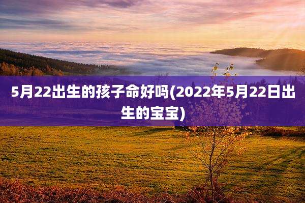 5月22出生的孩子命好吗(2022年5月22日出生的宝宝)