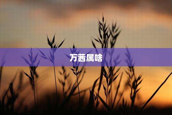 万茜属啥