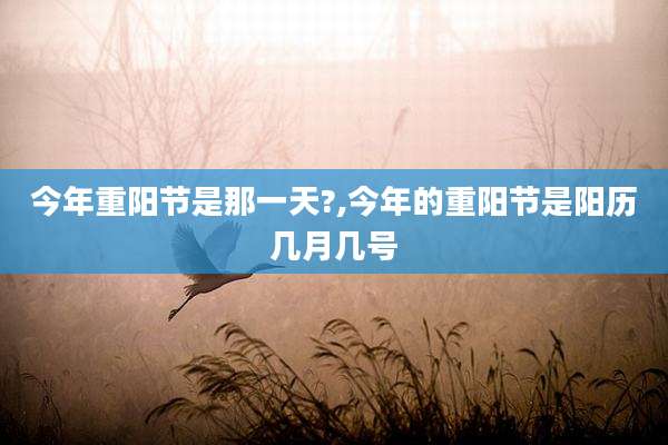 今年重阳节是那一天?,今年的重阳节是阳历几月几号