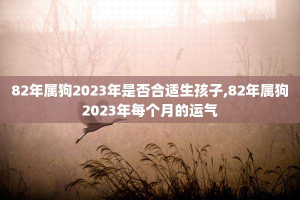 82年属狗2023年是否合适生孩子,82年属狗2023年每个月的运气