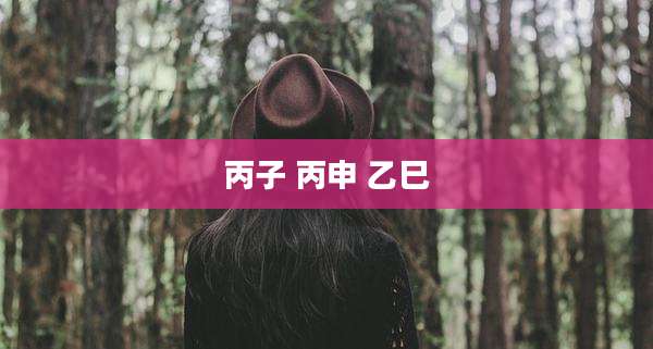 丙子 丙申 乙巳