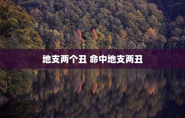 地支两个丑 命中地支两丑