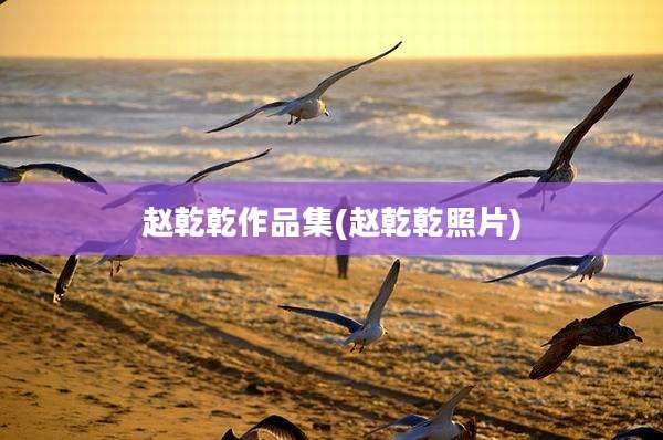赵乾乾作品集(赵乾乾照片)