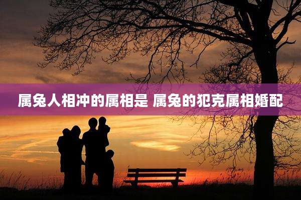 属兔人相冲的属相是 属兔的犯克属相婚配