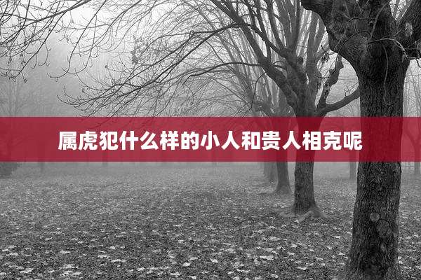 属虎犯什么样的小人和贵人相克呢