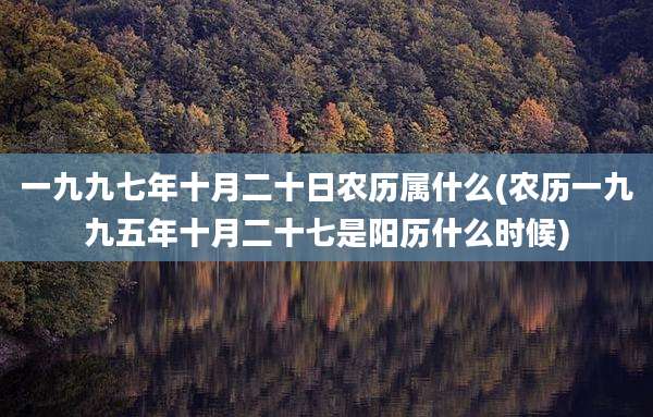 一九九七年十月二十日农历属什么(农历一九九五年十月二十七是阳历什么时候)