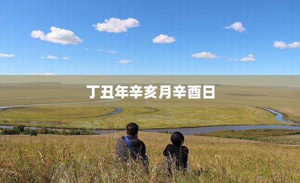 丁丑年辛亥月辛酉日